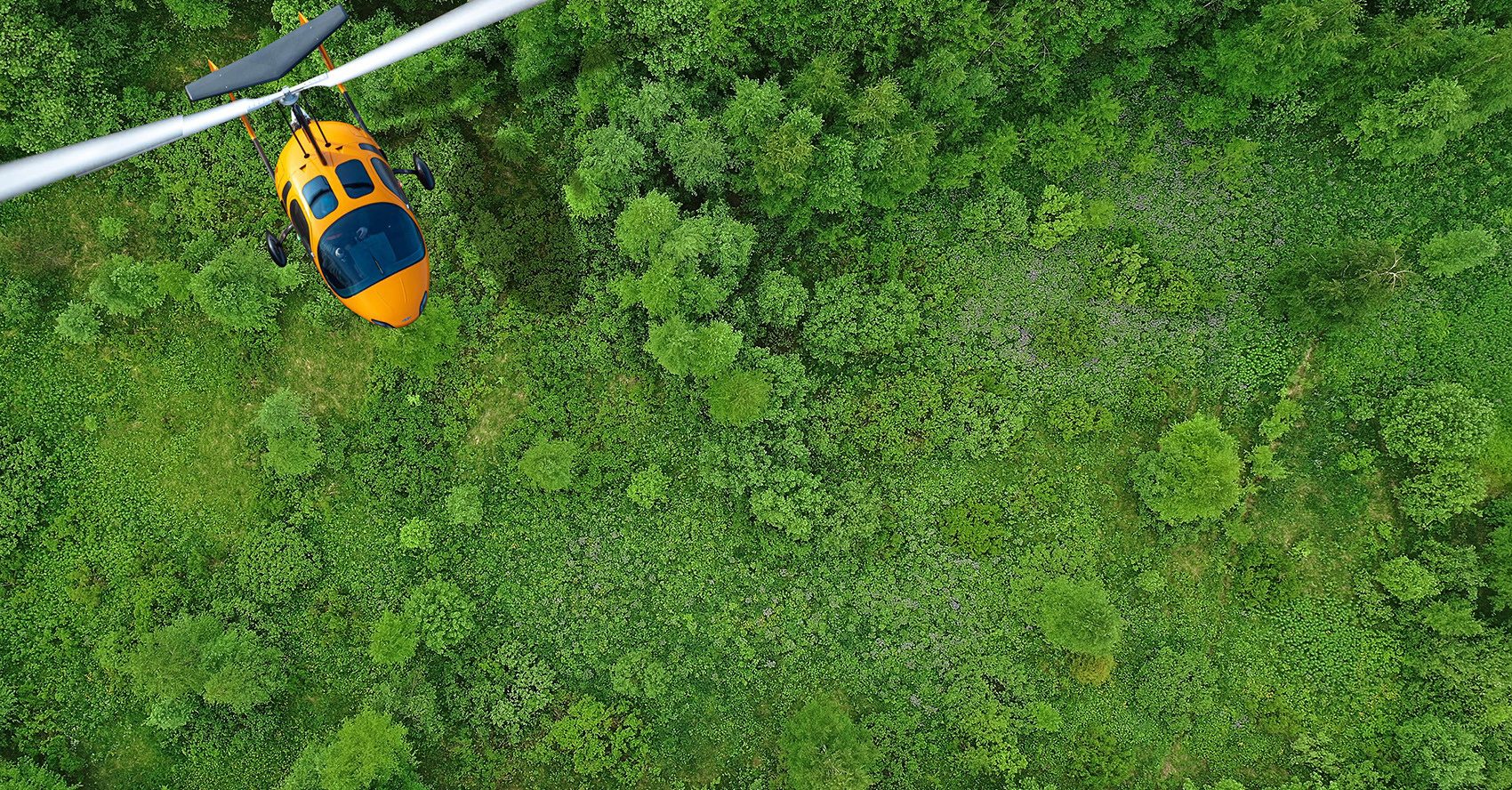 Aircraft flying over green forest canopy